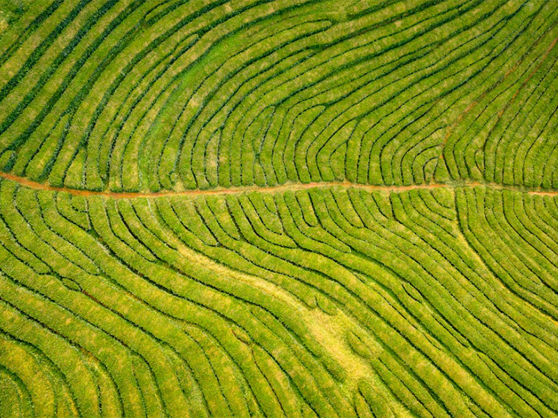 土壤檢測采樣常識（土壤混合采樣相關定義）